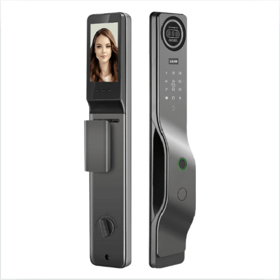 R10 Face & Palm-vein Smart Lock