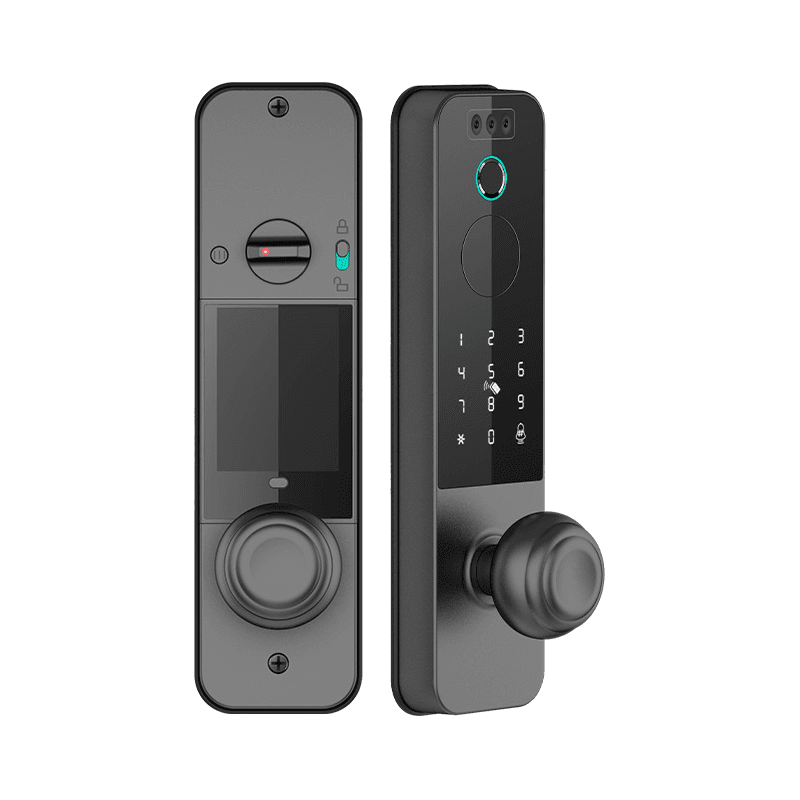D01 Smart Deadbolt
