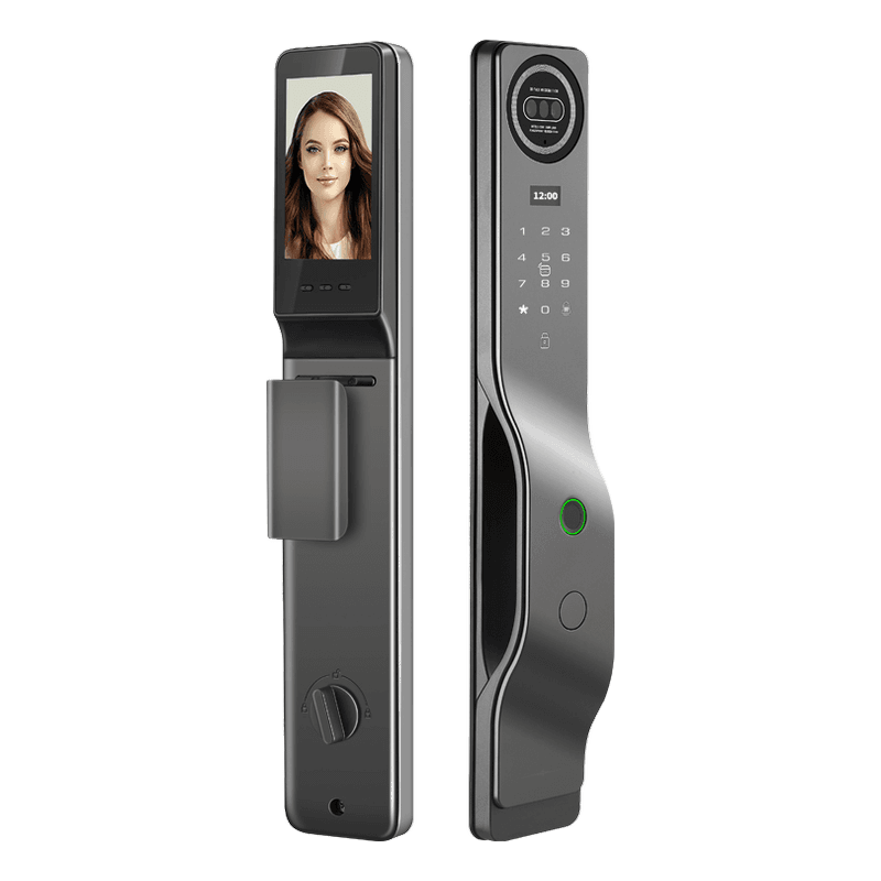 R10 Face & Palm-vein Smart Lock
